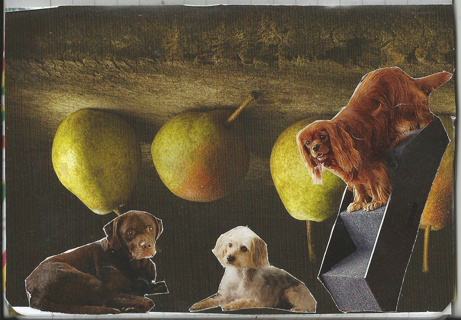 Scan of collage entitled 11_14_51_scan231421161.jpg